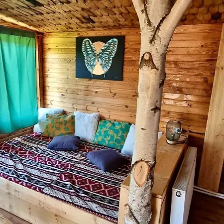 Harmonie Tree House Cotagges Chalet Predeal Trei Brazi Exterior foto
