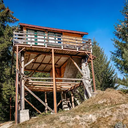 Harmonie Tree House Cotagges Chalet Predeal Trei Brazi Exterior foto