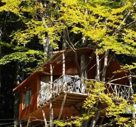 Harmonie Tree House Cotagges Chalet Predeal Trei Brazi Exterior foto