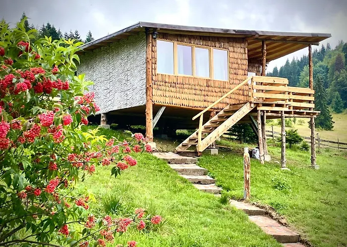 Harmonie Tree House Cotagges Chalet Predeal Trei Brazi