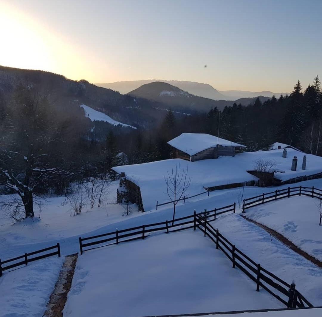 Harmonie Tree House Cotagges Trei Brazi Village de vacances