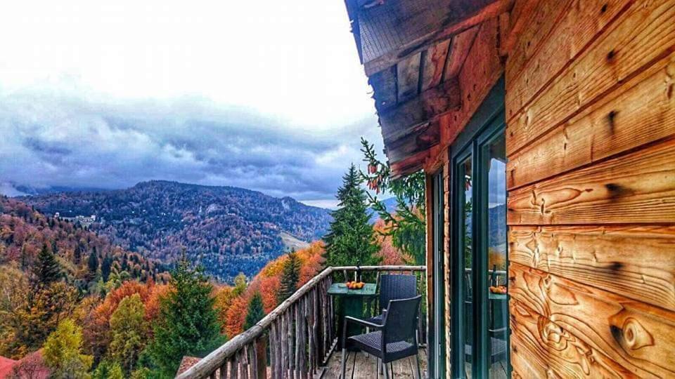 Holiday park Harmonie Tree House Cotagges Trei Brazi *