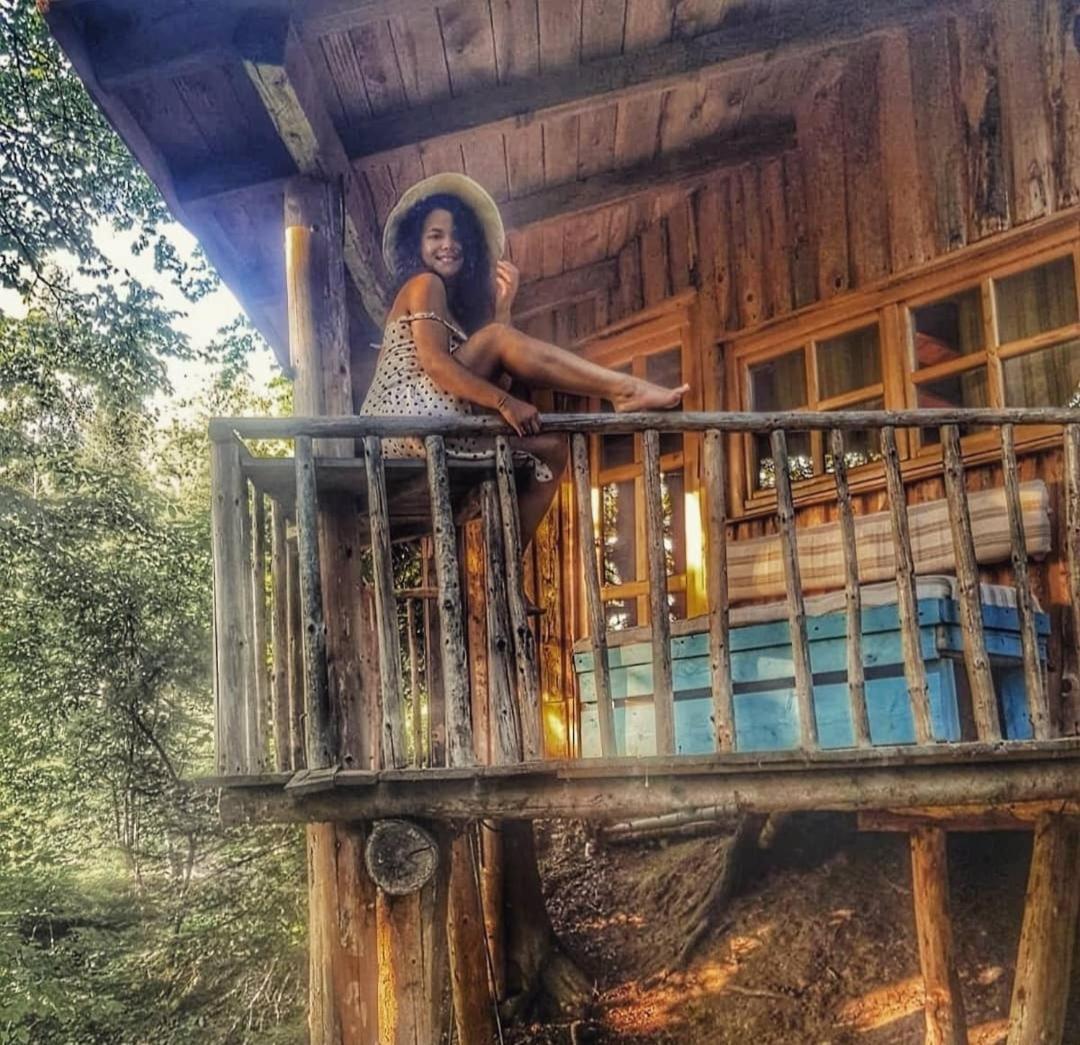Harmonie Tree House Cotagges Trei Brazi Village de vacances *