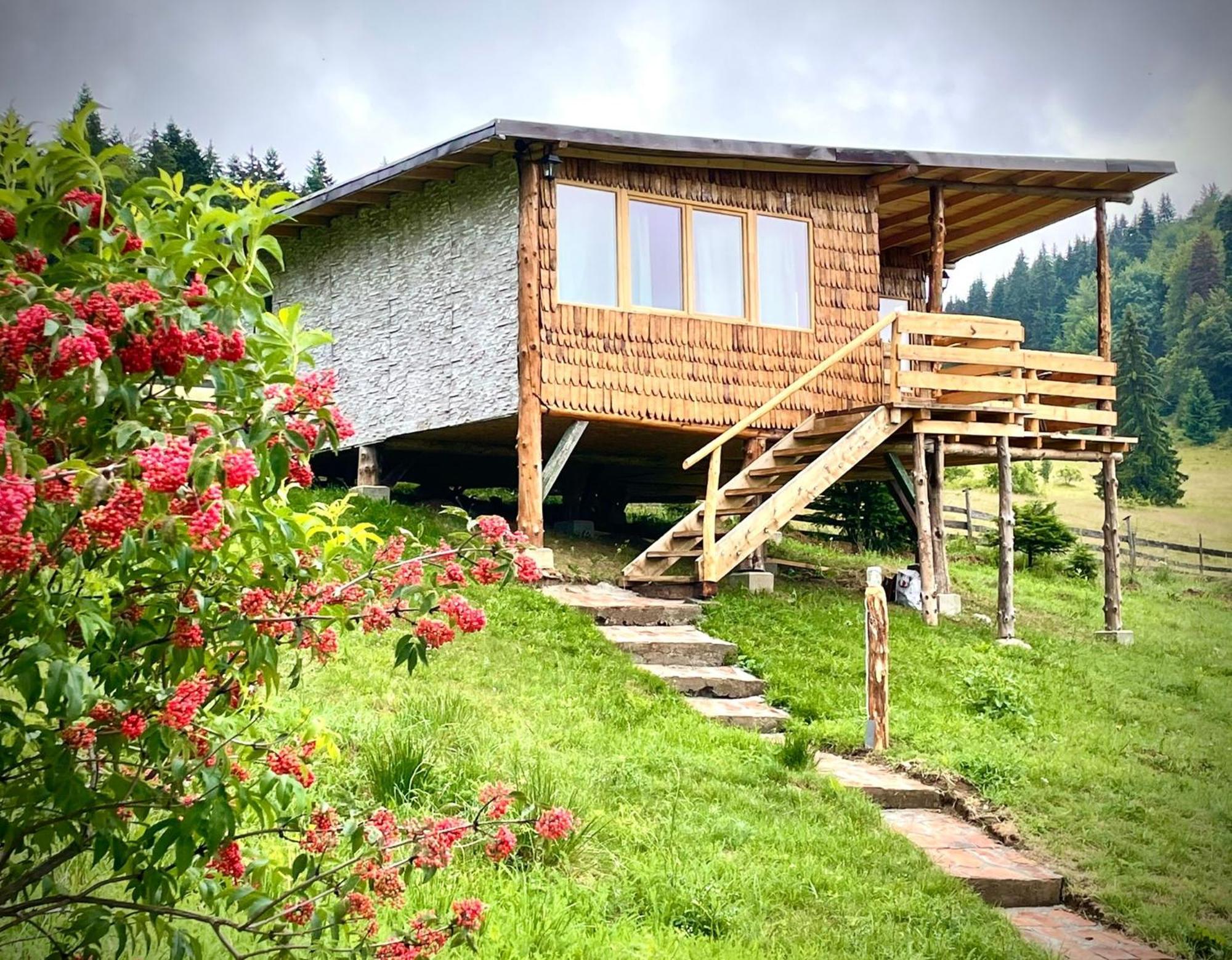 Holiday park Harmonie Tree House Cotagges Trei Brazi Predeal