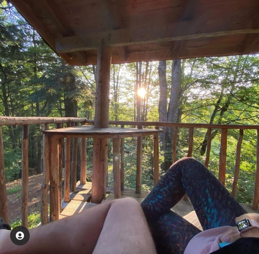 Holiday park Harmonie Tree House Cotagges Trei Brazi