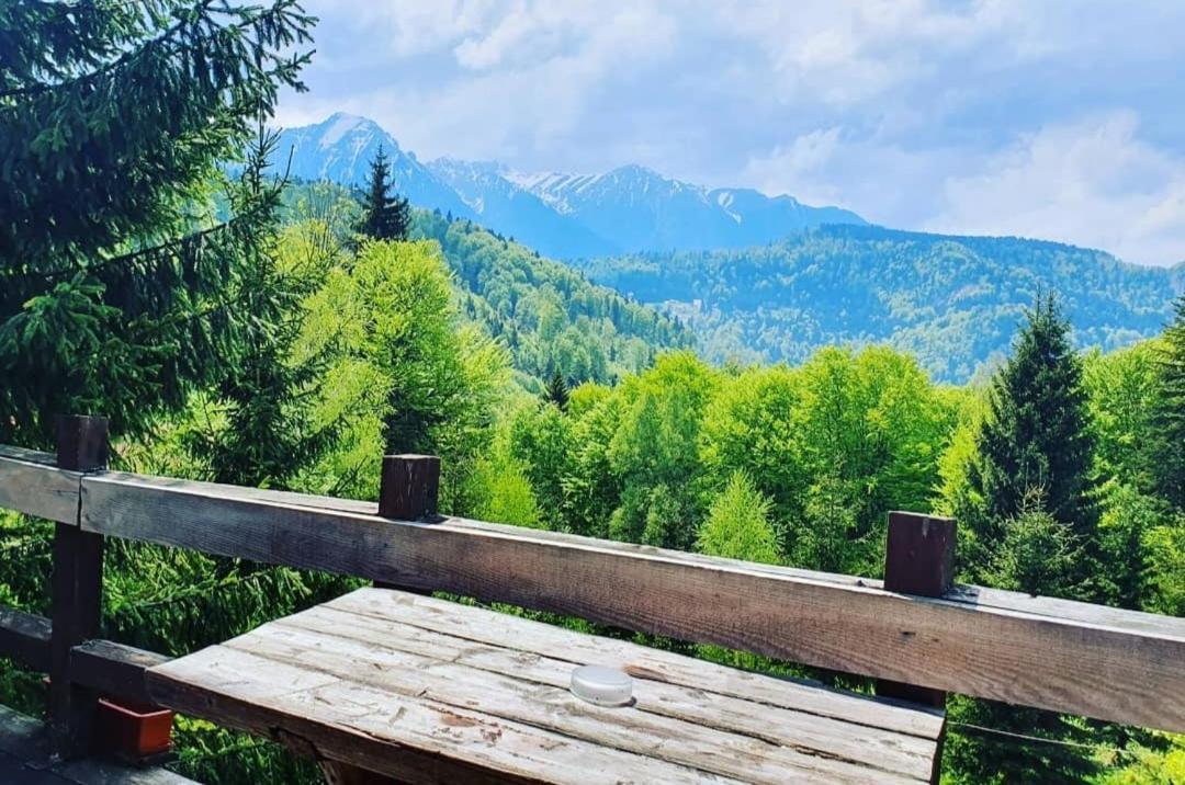 Harmonie Tree House Cotagges Trei Brazi * Predeal