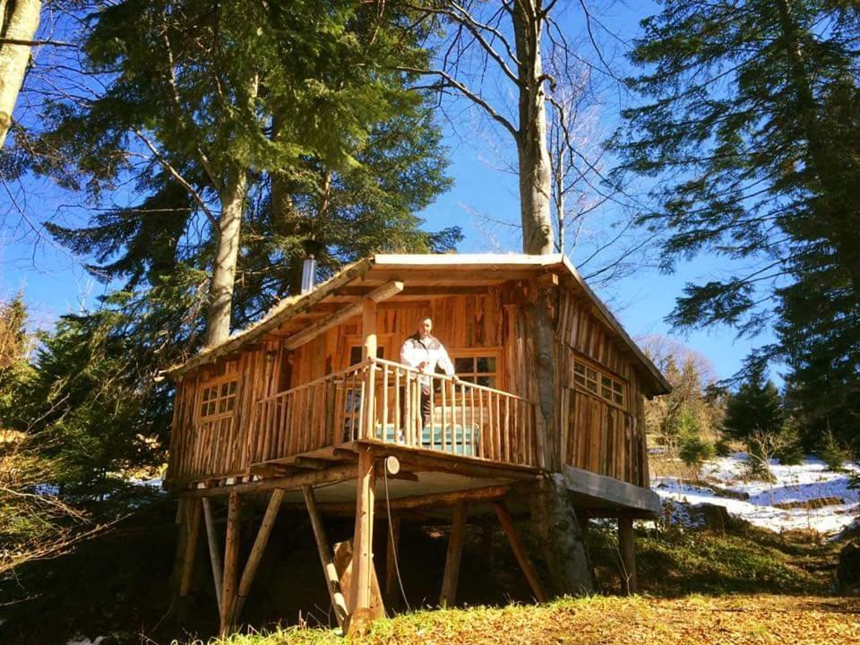 Harmonie Tree House Cotagges Trei Brazi *