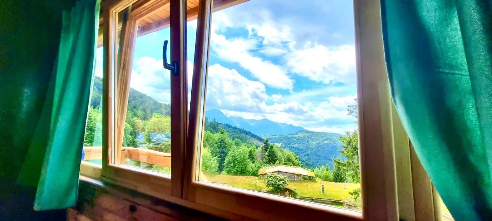 Holiday park Harmonie Tree House Cotagges Trei Brazi *