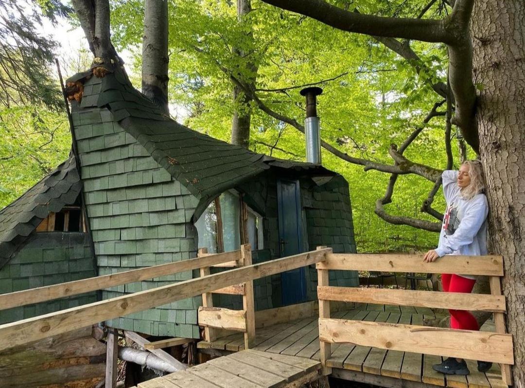 Harmonie Tree House Cotagges Trei Brazi Village de vacances Predeal