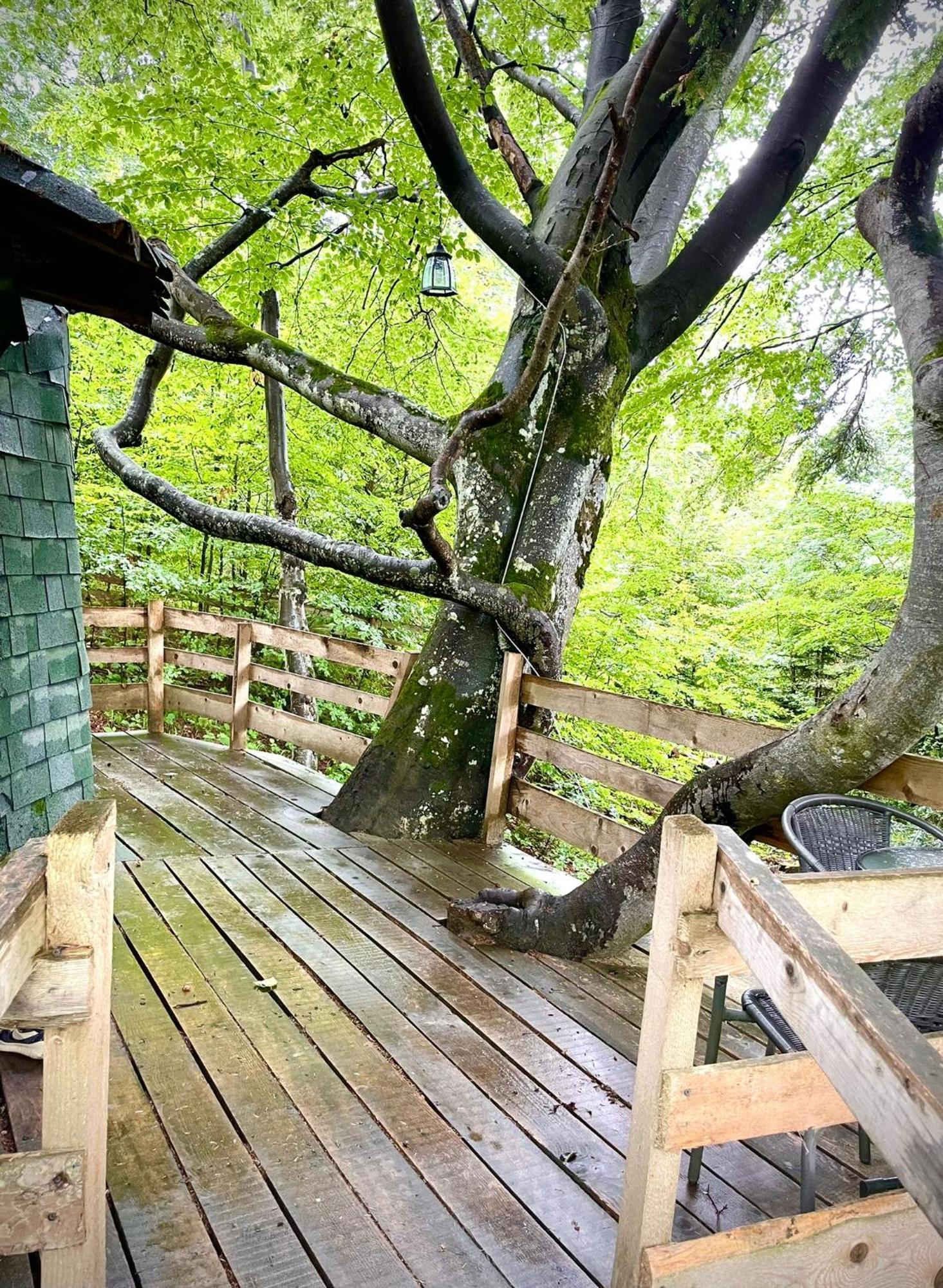 Holiday park Harmonie Tree House Cotagges Trei Brazi Predeal